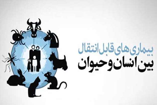 روز جهانی زئونوز 